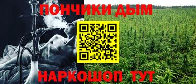прущие грибы Волжск