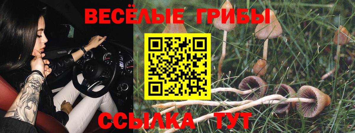 Псилоцибиновые грибы мицелий  Вход с VPN  Чапаевск 